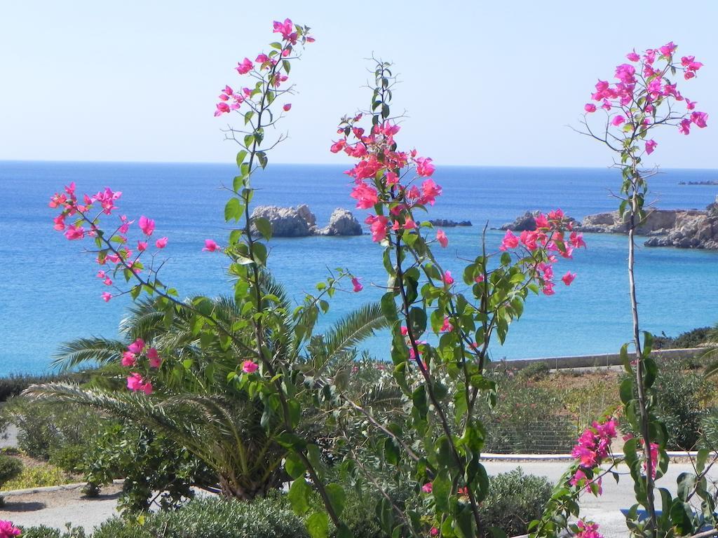 Ardani Bay Studios Amoopi Quarto foto